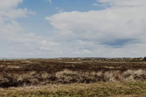 Küstenlandschaft in Kampen auf Sylt unter einem bewölkten Himmel.