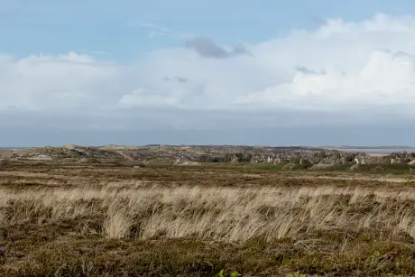 Landschaft mit Grasflächen und Hügeln in der Nähe von Kampen, Sylt.