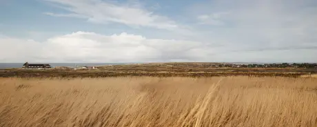 Panoramablick auf die Landschaft von Sylt mit Strandgras und entfernten Gebäuden.