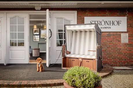 Ein Pudel steht vor dem Strönhof Hotel neben einem Strandkorb.