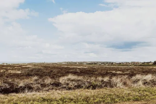 Landschaftsbild in Sylt mit Gras und entfernten Häusern unter einem bewölkten Himmel.